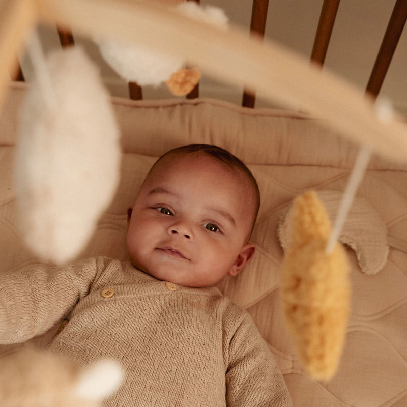 Musik-Mobile "Newborn Naturals"