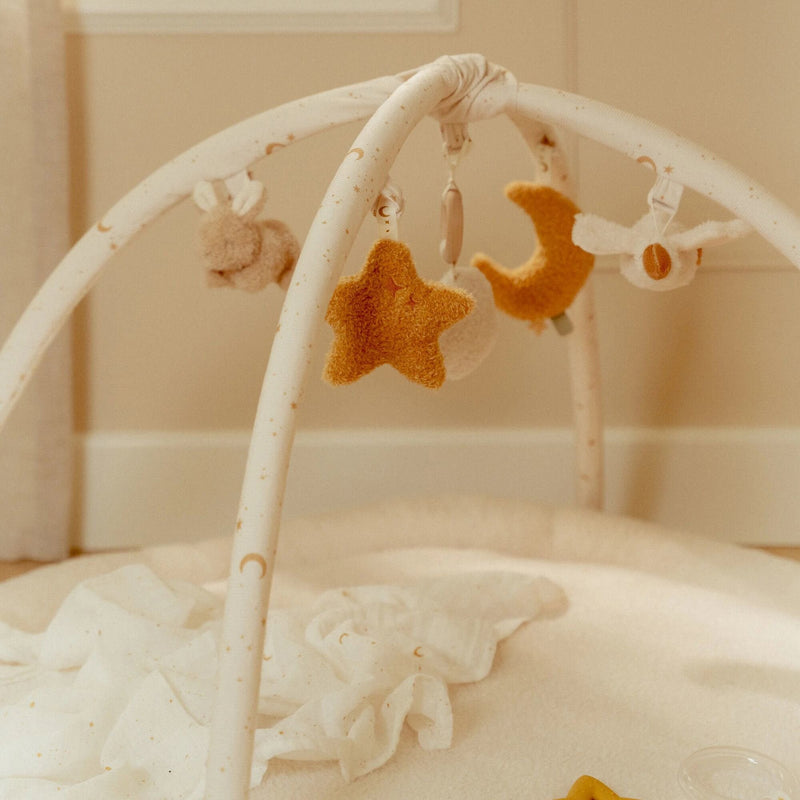 Spielbogen mit Spielmatte und Anhängern "Newborn Naturals"