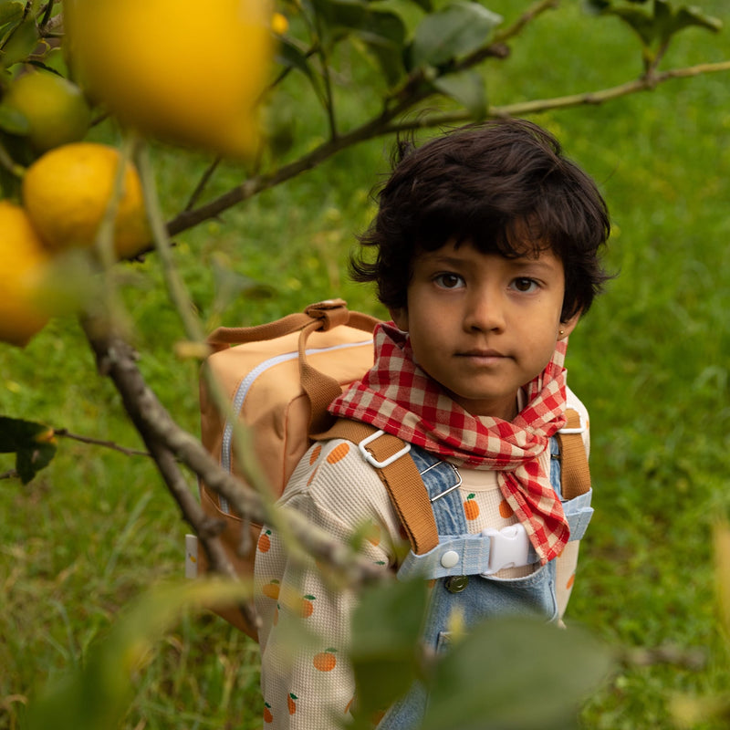 Kleiner Kinderrucksack "Farmhouse Envelope Pear Jam"