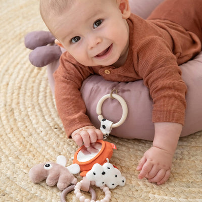 Babynest mit Spielbogen “Raffi Powder”