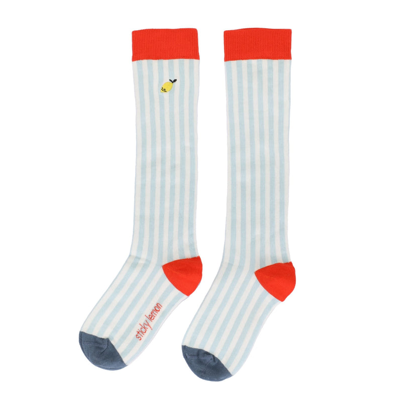 Kniehohe Socken – Stripes | Zissou Blue