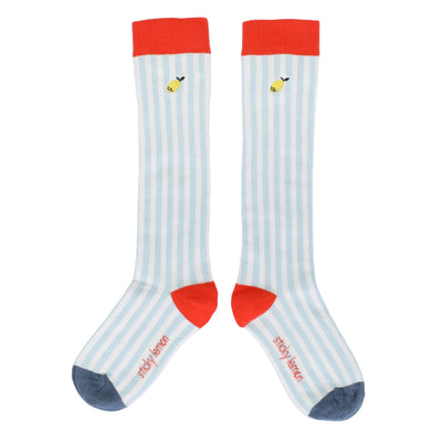Kniehohe Socken – Stripes | Zissou Blue