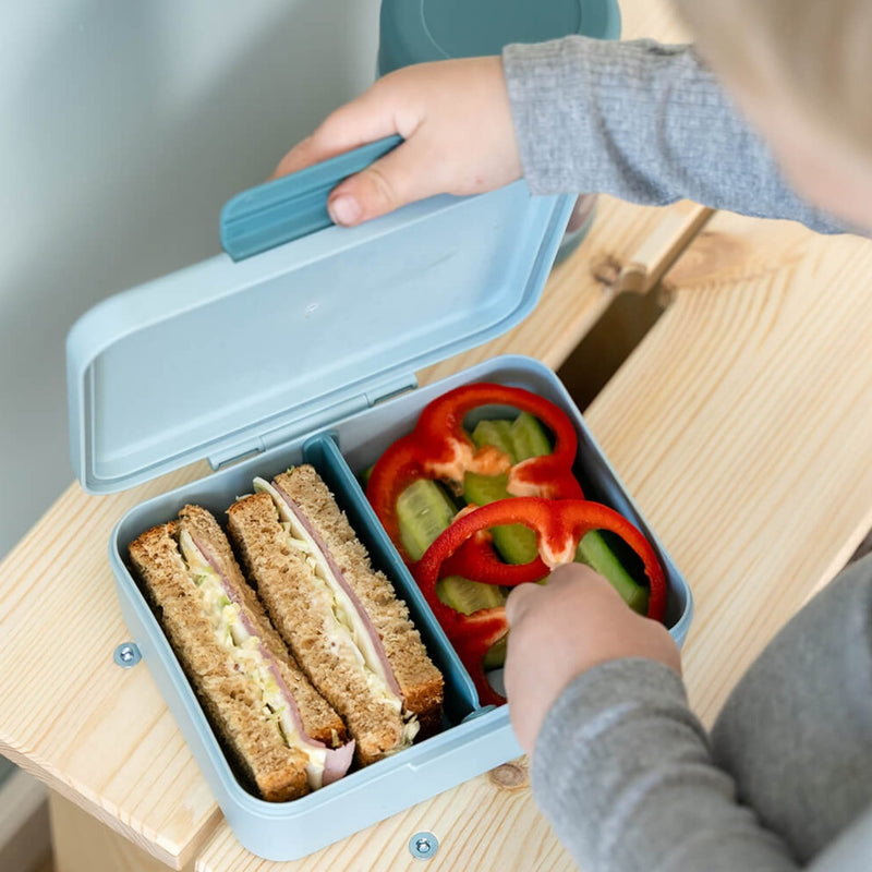 Brotdose mit Trennwand "Tiny farm - Blue"