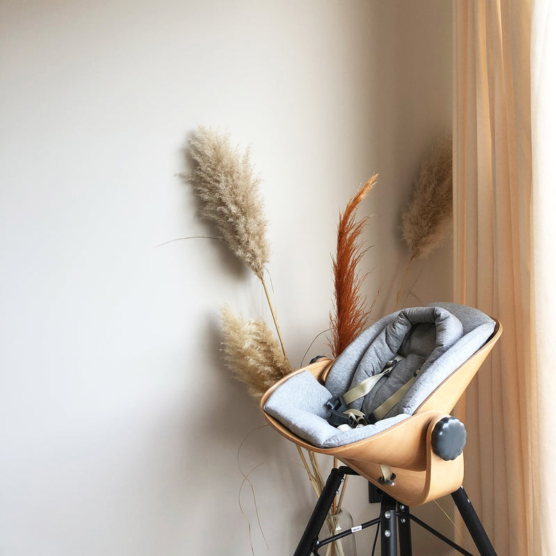 Neugeborenen-Sitz “Evolu Newborn Seat”