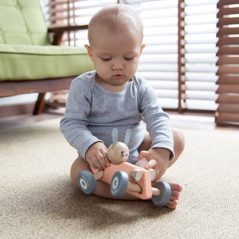 Rennwagen mit Hasen “Bunny Racing Car”