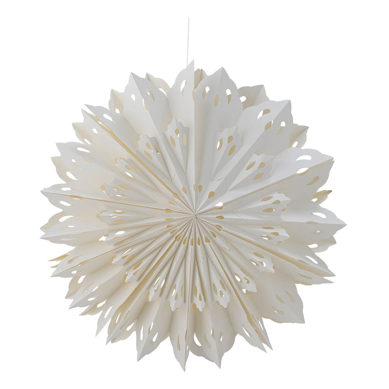 Weihnachtsstern “Pax White”