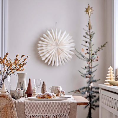 Weihnachtsstern “Pax White”