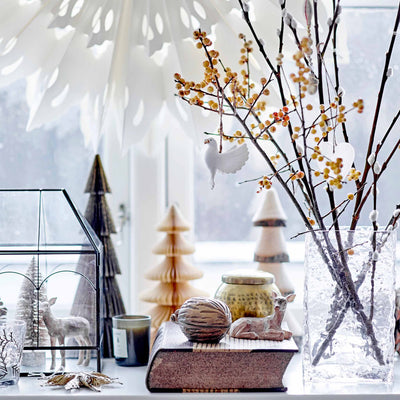 Weihnachtsstern “Pax White”
