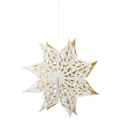 Weihnachtsstern “Prato White”