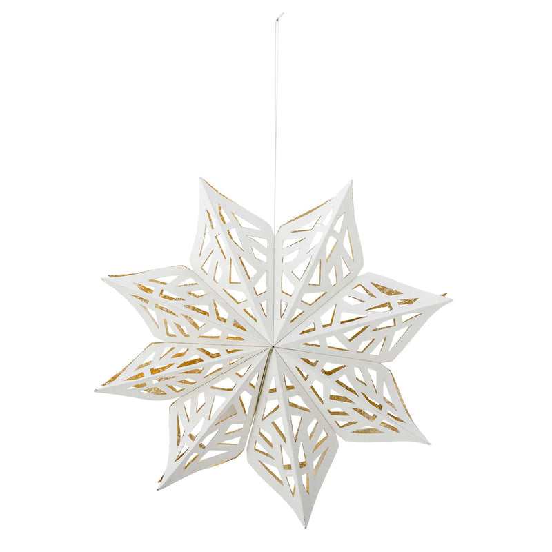 Weihnachtsstern “Prato White”