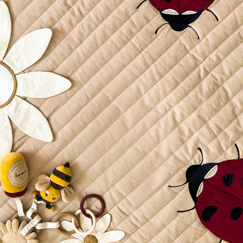 Baby-Aktivitätsdecke “Ladybug“